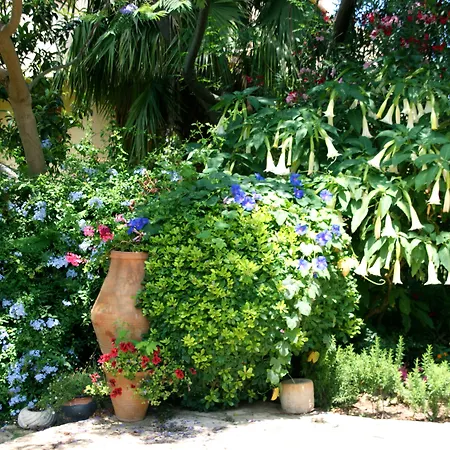 Emel Szálloda Guzelcamlı