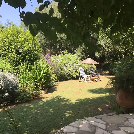 Emel グゼルカミル