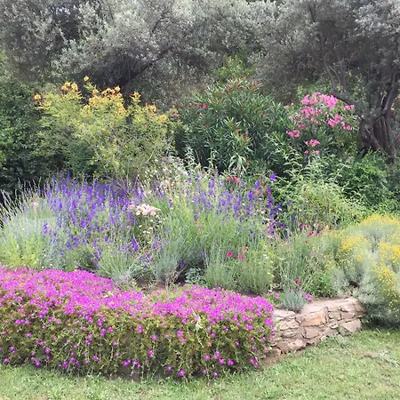 Szálloda Emel Guzelcamlı