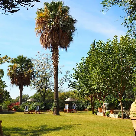 Emel グゼルカミル