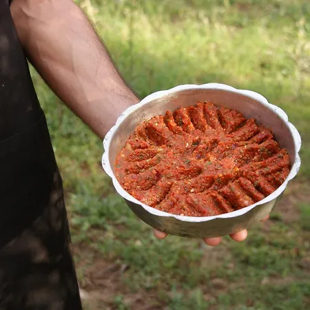 Emel グゼルカミル