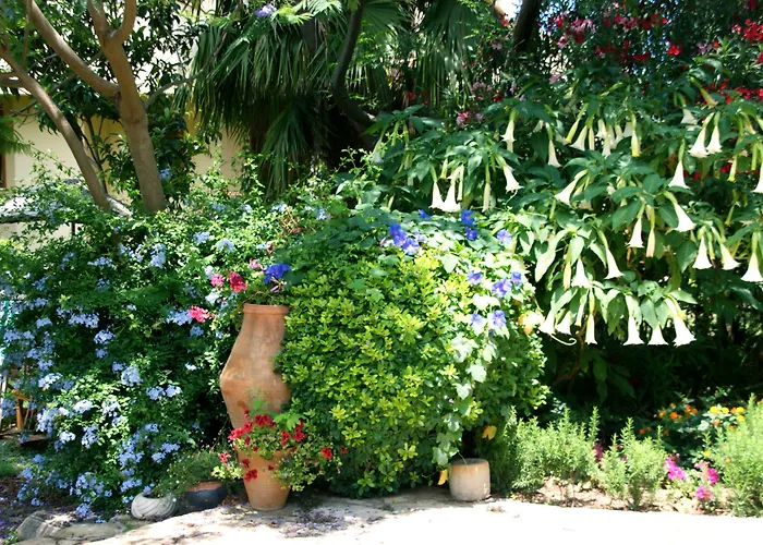 Emel Hotel Guzelcamlı