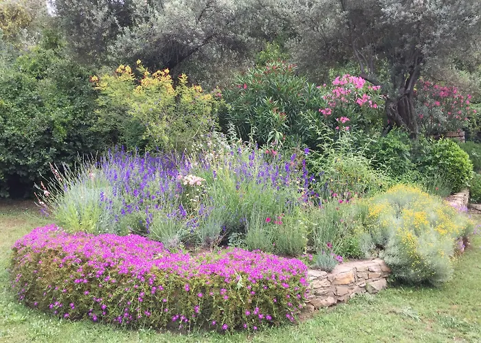 ホテル Emel グゼルカミル