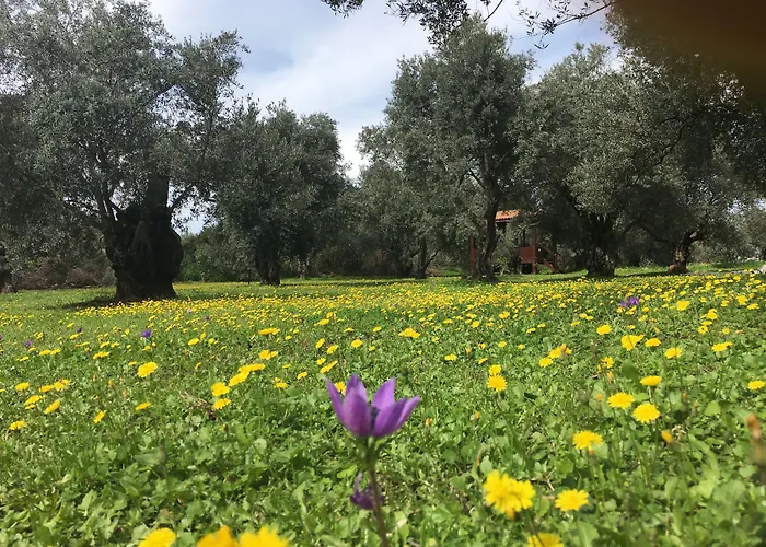 Hotel Emel Guzelcamlı