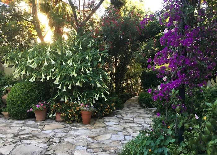 Emel * グゼルカミル