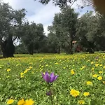 فندق Emel غوزيلْتْشاملِ