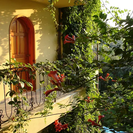 Emel Hotel Guzelcamlı