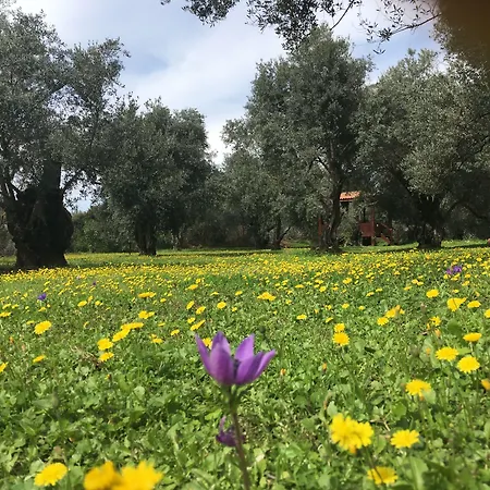 Otel Emel Güzelçamlı
