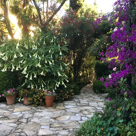 Emel * Güzelçamlı