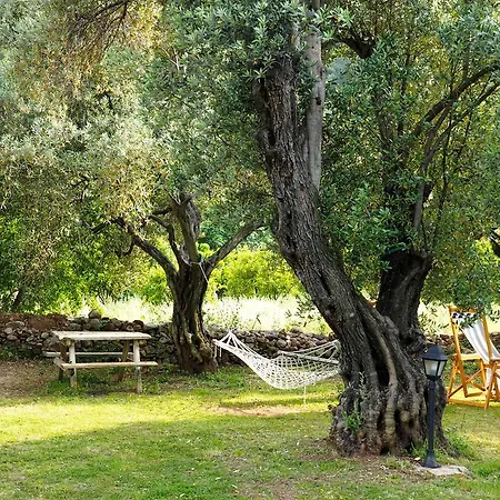 Emel Hotel Guzelcamli