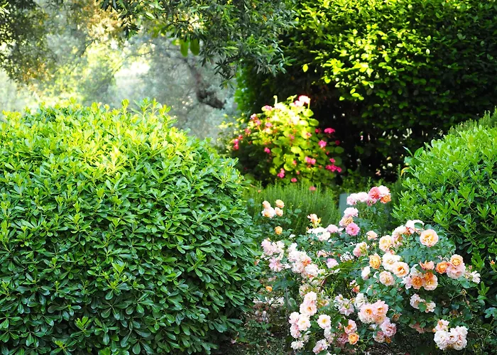 Emel * Гюзельчамли