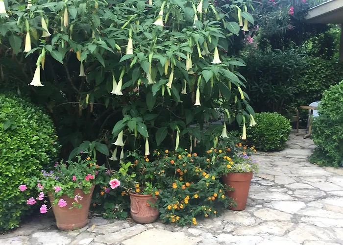 Emel * Гюзельчамли