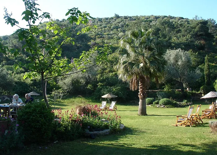 Emel Гюзельчамли