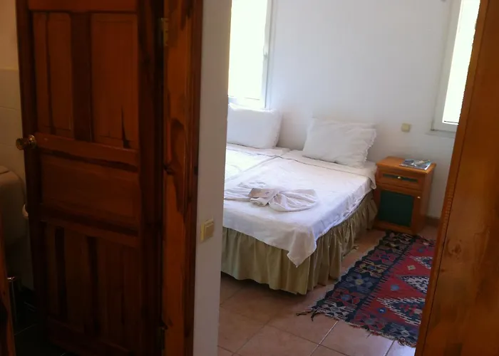 Emel Гюзельчамли