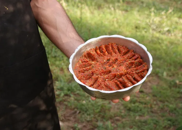 Emel Гюзельчамли